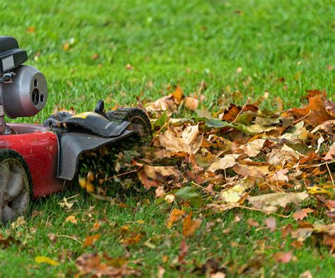When should I stop mowing my lawn UK?