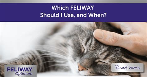 When should I stop using Feliway?