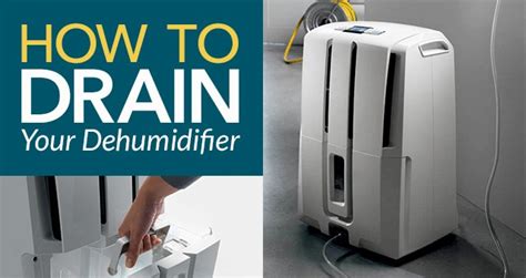 When should I stop using a dehumidifier in my basement?
