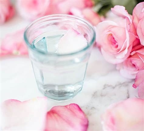 When should we drink rose water?