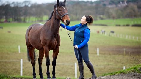 When should you buy a horse?