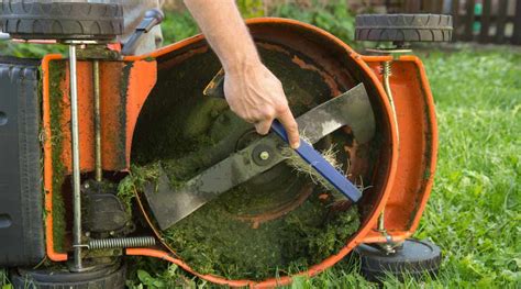 When should you not cut grass?