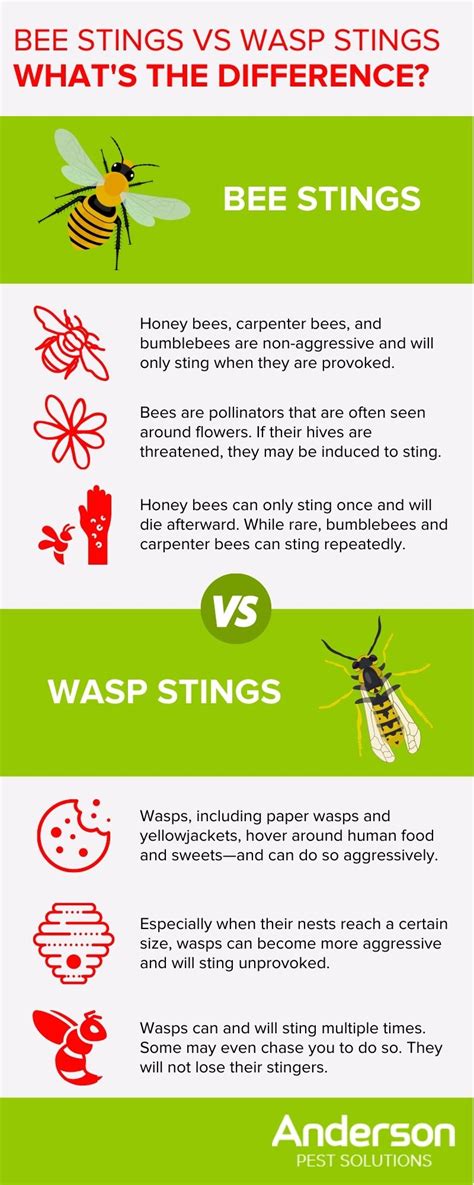 When should you worry about a bee sting?