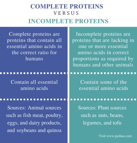 When two incomplete proteins are eaten together and provide all of the essential amino acids These are called?