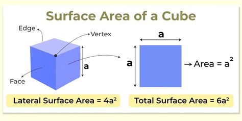 When was surface area invented?