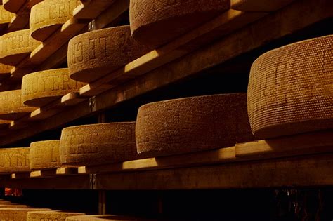 When was the oldest cheese made?