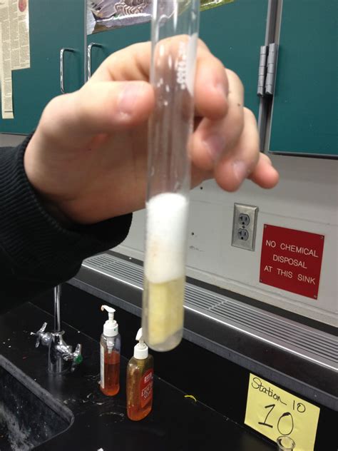 When you add potato to a test tube of hydrogen peroxide?