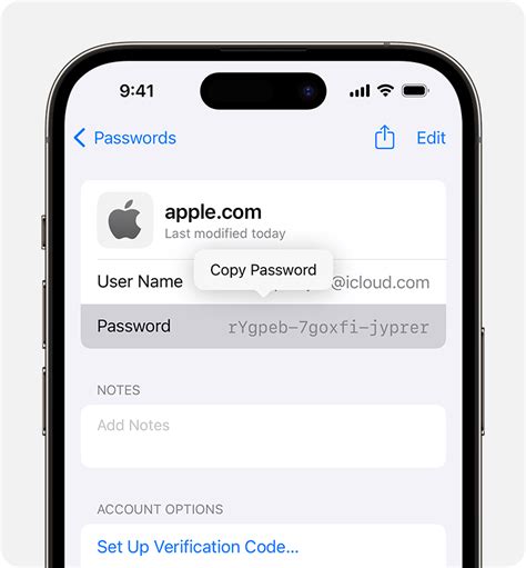 Where are Apple saved passwords stored?