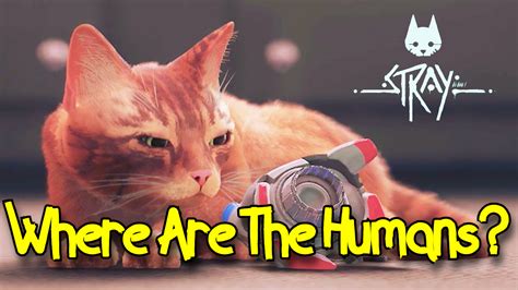 Where are humans in Stray?