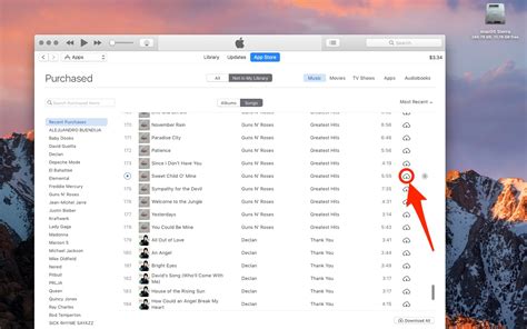Where are iTunes playlists stored on PC?