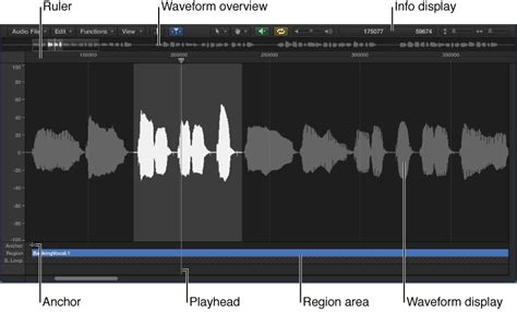 Where are logic audio files located?