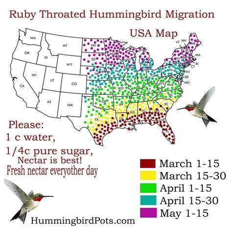 Where are most hummingbirds located?
