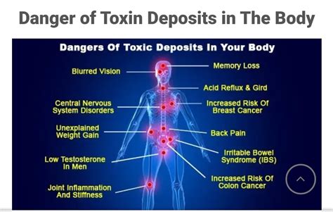 Where are most toxins stored in the body?