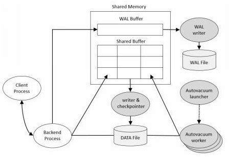 Where are roles stored in Postgres?