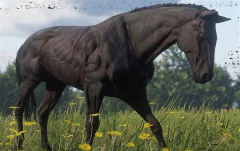 Where can I buy the best horse in Red Dead Redemption?