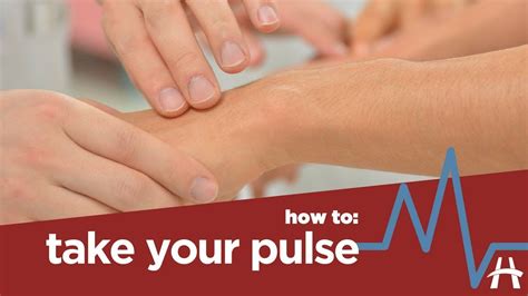 Where can you feel your own pulse?