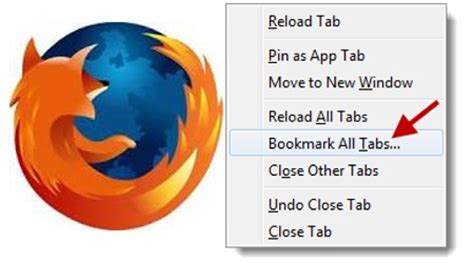 Where did all my pinned tabs go Firefox?