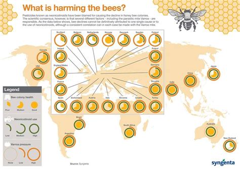 Where did honey originate?