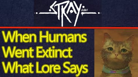 Where did humans go in Stray?