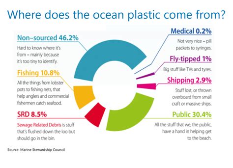 Where did plastic come from?