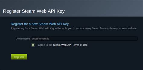 Where do I find my Steam API key?