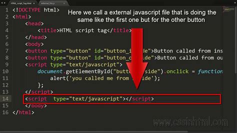Where do I put script in HTML?