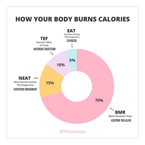 Where do burned calories go?