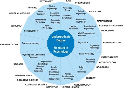 Where do most psychology graduates work?