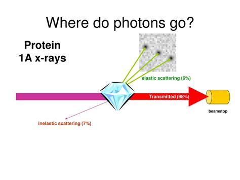 Where do photons go?