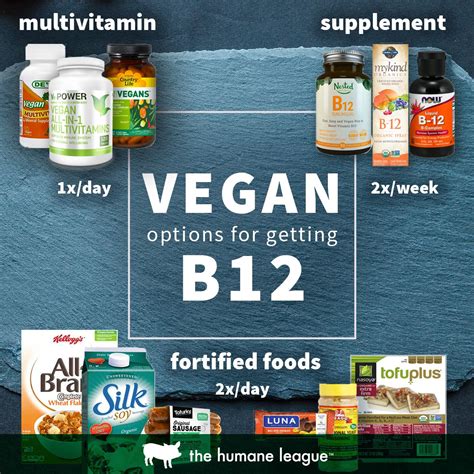 Where do vegans get B12?