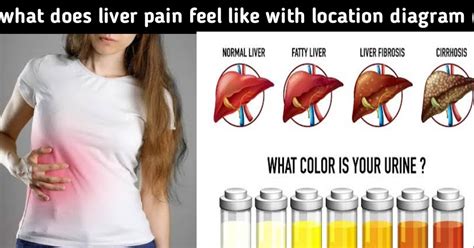 Where do you feel liver pain?