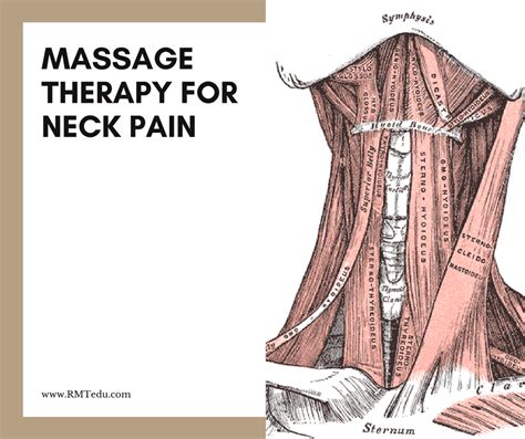 Where do you massage neck pain?
