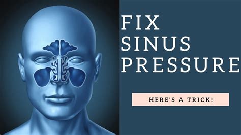 Where do you press to unblock your sinuses?