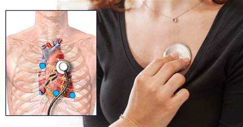 Where do you put a stethoscope for a pulse?