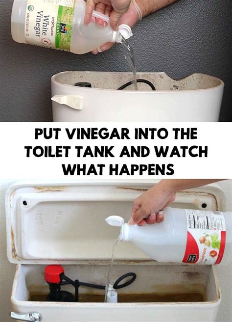 Where do you put vinegar in toilet tank?