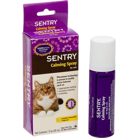 Where do you spray cat pheromones?