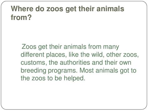 Where do zoos get their animals?