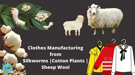Where does cloth come from?