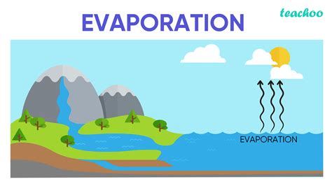 Where does evaporation only occur at?