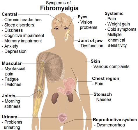 Where does fibromyalgia hurt the most?