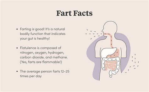 Where does gas go if you don't fart?