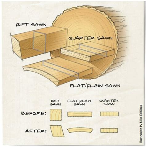 Where does most wood shrinkage occur?