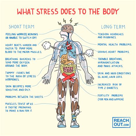 Where does stress show?