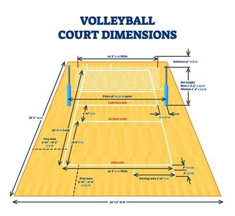 Where is 4 in volleyball?