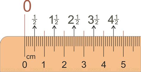Where is cm on a ruler?