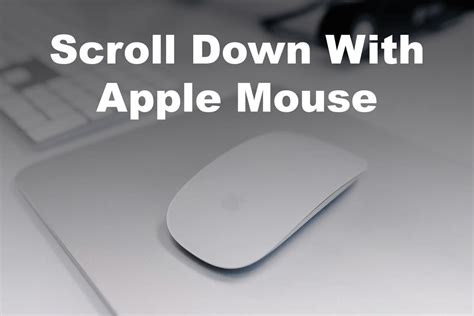 Where is my Mac mouse?