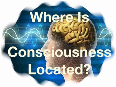 Where is our consciousness?