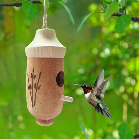 Where is the best place to hang a hummingbird house?