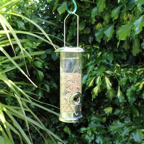 Where is the best place to put a bird feeder UK?