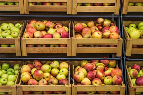 Where is the best place to store apples?